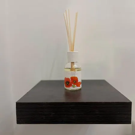 Apartment Vatican Oasis *